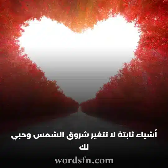 أشياء ثابتة لا تتغير شروق الشمس وحبي لك حالات واتس 2023