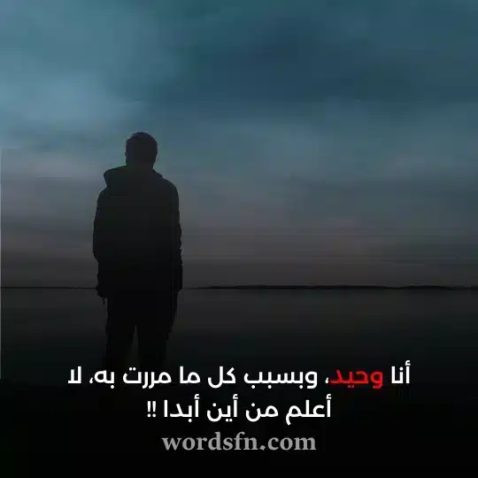 أنا وحيد وبسبب كل ما مررت به لا أعلم من أين أبدا حالات واتس حزينه