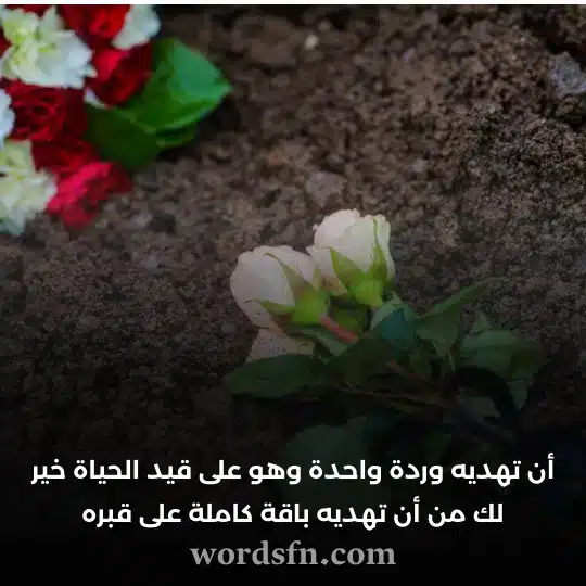 أن تهديه وردة واحدة وهو على قيد الحياة خير لك من أن تهديه باقة كاملة على قبره أجمل حالات واتس