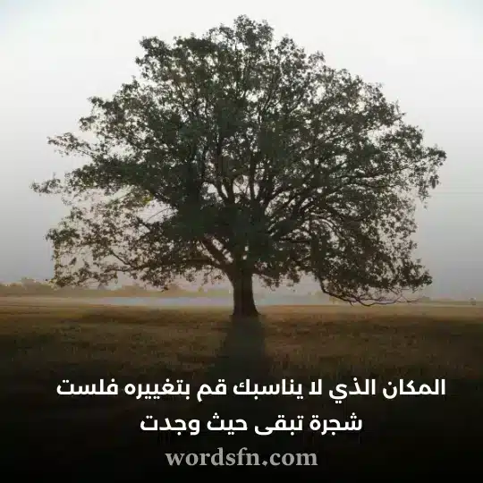 حالات نادره