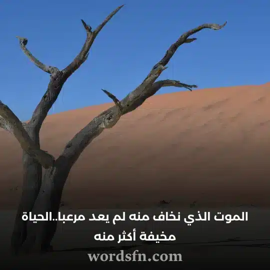 الموت الذي نخاف منه لم يعد مرعبا الحياة مخيفة أكثر منه أجمل حالات واتس