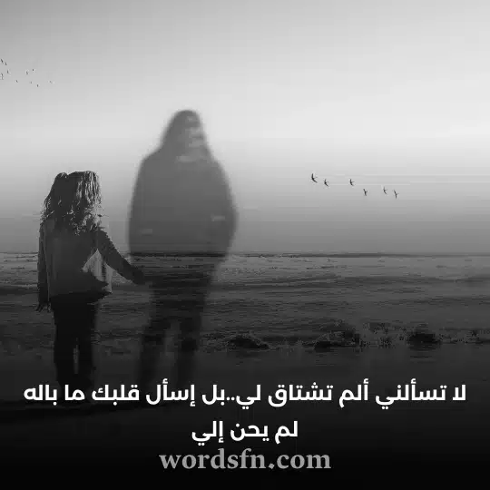 لا تسألني ألم تشتاق ليبل إسأل قلبك ما باله لم يحن إلي - فن العبارات لا تسألني ألم تشتاق لي..بل إسأل قلبك ما باله لم يحن إلي حالات عتاب