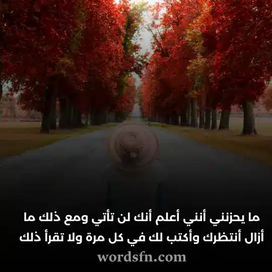 ما يحزنني أنني أعلم أنك لن تأتي ومع ذلك ما أزال أنتظرك وأكتب لك في كل مرة ولا تقرأ ذلك حالة واتس حزينه