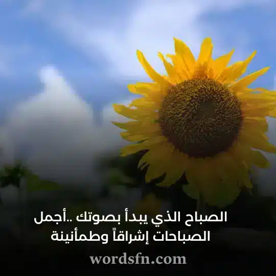 حالات عشق