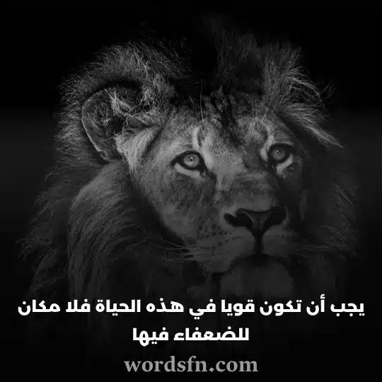 حالات واتس 2023