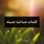 كلمات صباحيه جميله