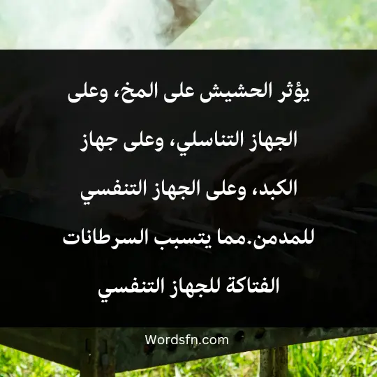 يؤثر الحشيش على المخ، وعلى الجهاز التناسلي، وعلى جهاز الكبد، وعلى الجهاز التنفسي للمدمن.