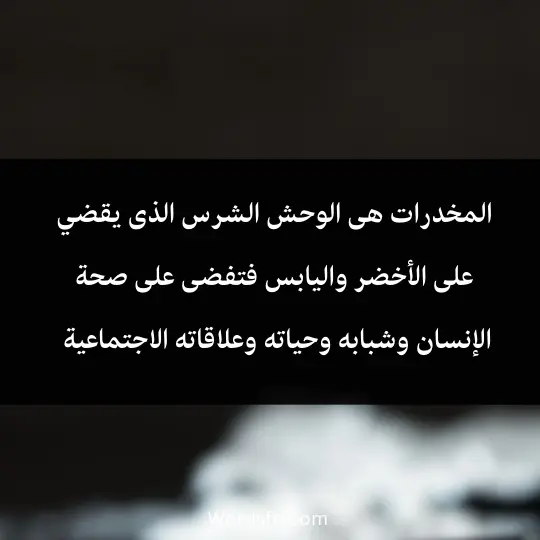 المخدرات هى الوحش الشرس الذى يقضي على الأخضر واليابس