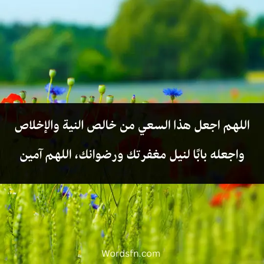 اللهم اجعل هذا السعي من خالص النية والإخلاص