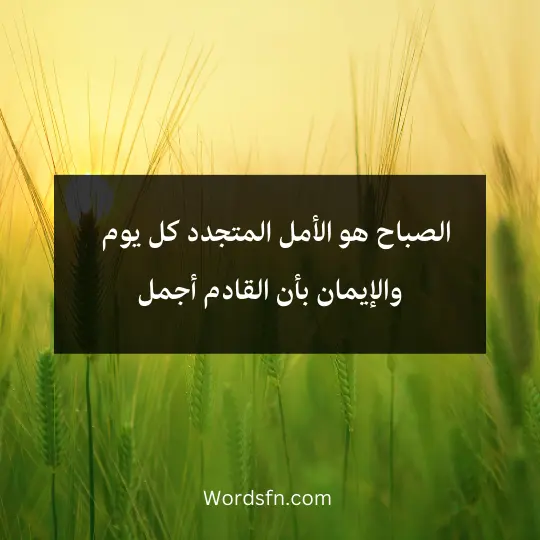 الصباح هو الأمل المتجدد كل يوم ، والإيمان بأن القادم أجمل