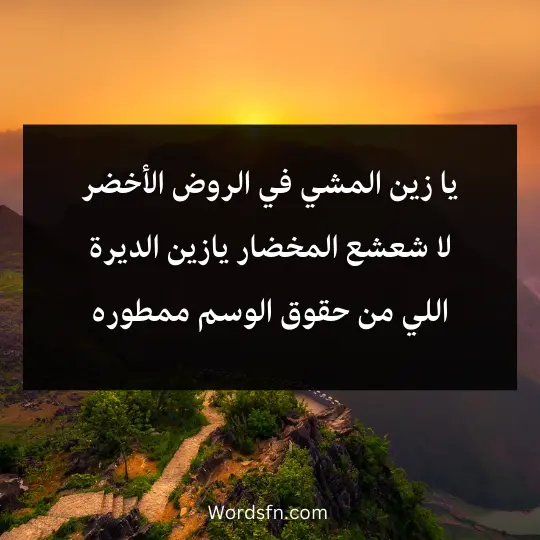 يا زين المشي في الروض الأخضر