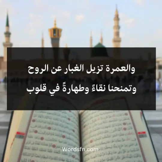 والعمرة تزيل الغبار عن الروح وتمنحنا نقاءً وطهارةً في قلوب