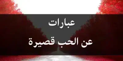 عبارات عن الحب قصيرة