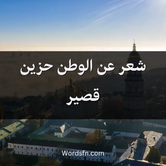 شعر عن الوطن حزين قصير