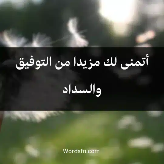 أتمنى لك مزيدا من التوفيق والسداد