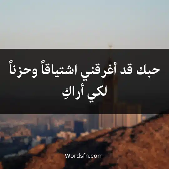 حبك قد أغرقني اشتياقاً وحزناً لكي أراكِ