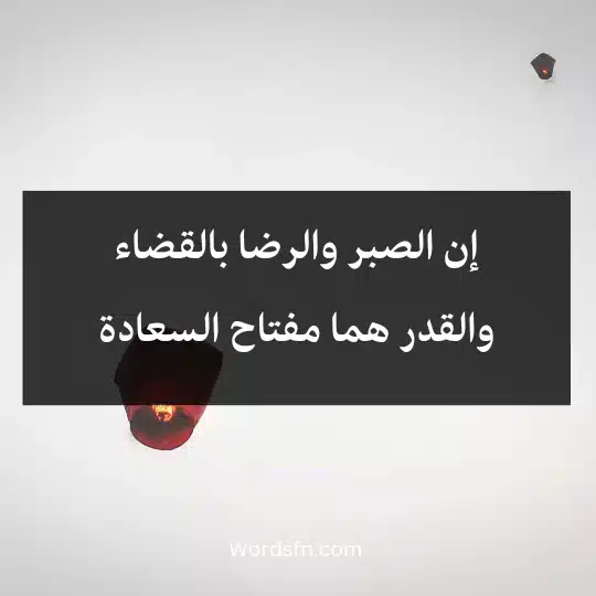 إن الصبر والرضا بالقضاء والقدر هما مفتاح السعادة