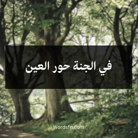 في الجنة حور العين