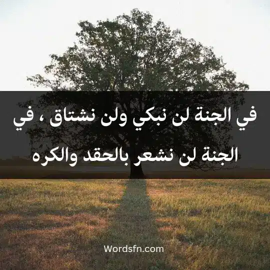 في الجنة لن نبكي ولن نشتاق ، في الجنة لن نشعر بالحقد والكره