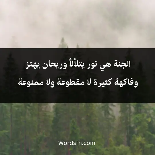 الجنة هي نور يتلألأ وريحان يهتز وفاكهة كثيرة لا مقطوعة ولا ممنوعة