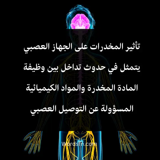 تأثير المخدرات على الجهاز العصبي يتمثل في حدوث تداخل بين وظيفة المادة المخدرة والمواد الكيميائية المسؤولة عن التوصيل العصبي