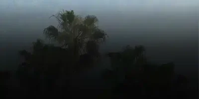 حالات عن السفر