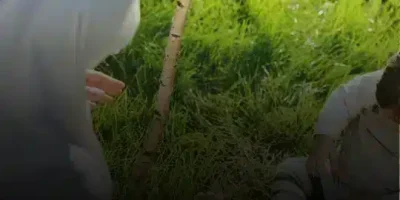 حالات عن الأم