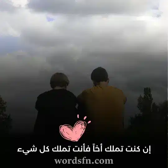 إن كنت تملك أخاً فأنت تملك كل شيء - فن العبارات إن كنت تملك أخاً فأنت تملك كل شيء حالات عن الاخ