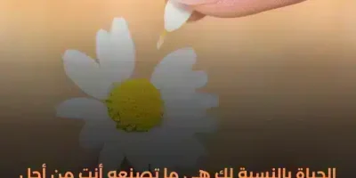 حالات واتس حلوه