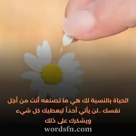 حالات واتس حلوه