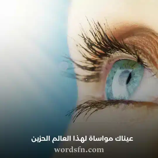 عيناك مواساة لهذا العالم الحزين - فن العبارات عيناك مواساة لهذا العالم الحزين حالات واتس حب