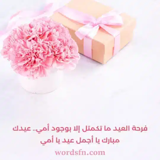 فرحة العيد ما تكمتل إلا بوجود أمي عيدك مبارك يا أجمل عيد يا أمي - فن العبارات فرحة العيد ما تكمتل إلا بوجود أمي عيدك مبارك يا أجمل عيد يا أمي حالات عيد
