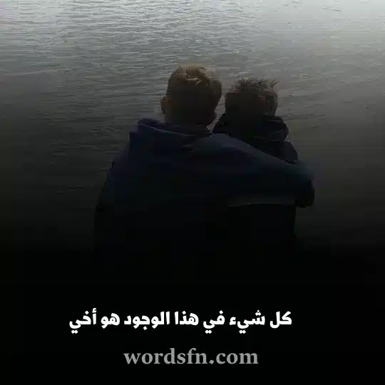 كل شيء في هذا الوجود هو أخي - فن العبارات كل شيء في هذا الوجود أخي حالات عن الاخ