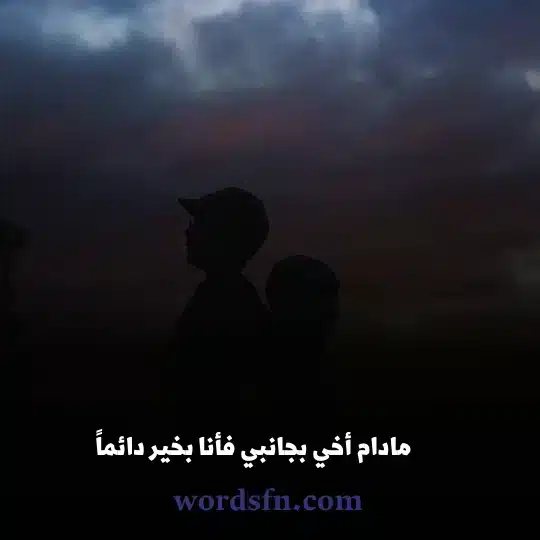 مادام أخي بجانبي فأنا بخير دائماً - فن العبارات مادام أخي بجانبي فأنا بخير دائما حالات عن الاخ