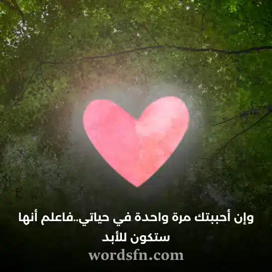 وإن أحببتك مرة واحدة في حياتيفاعلم أنها ستكون للأبد - فن العبارات وإن أحببتك مرة واحدة في حياتي فاعلم أنها ستكون للأبد حالات رومانسيه