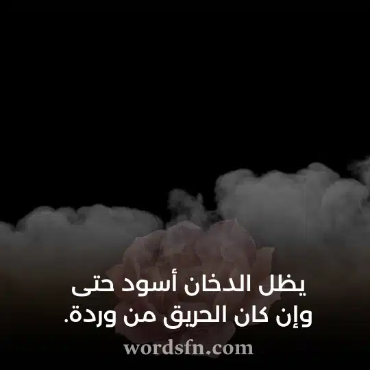 يظل الدخان أسود حتى وإن كان الحريق من وردة - فن العبارات يظل الدخان أسود حتى وإن كان الحريق من وردة حالات واتس حزينة