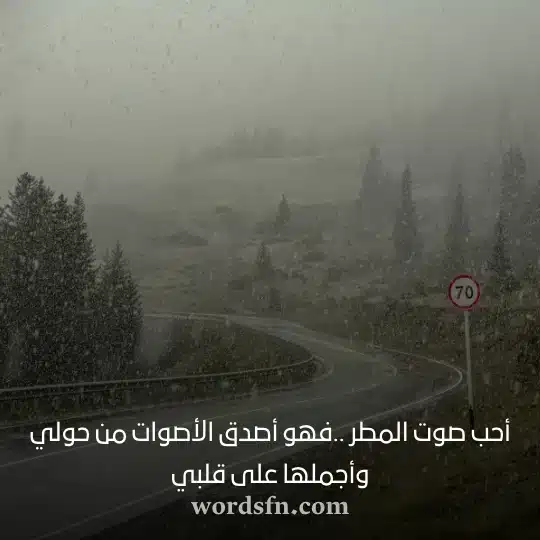أحب صوت المطر فهو أصدق الأصوات من حولي وأجملها على قلبي حالات عن المطر