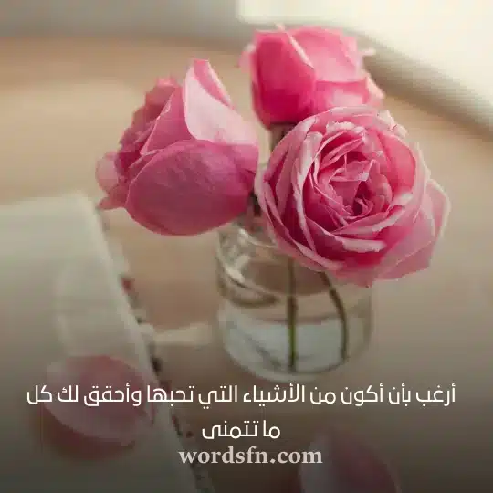 أرغب بأن أكون من الأشياء التي تحبها وأحقق لك كل ما تتمنى حالات واتساب حب وعشق