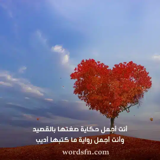 أنت أجمل حكاية صغتها بالقصيد وأنت أجمل رواية ما كتبها أديب حالات حب وعشق وغرام