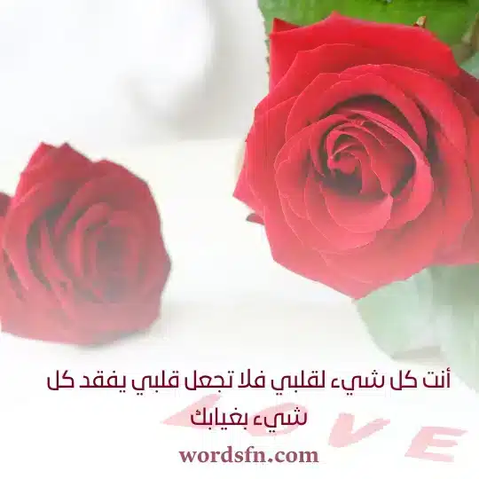 أنت كل شيء لقلبي فلا تجعل قلبي يفقد كل شيء بغيابك - فن العبارات أنت كل شيء لقلبي فلا تجعل قلبي يفقد كل شيء بغيابك حالات واتس رومانسيه جدا