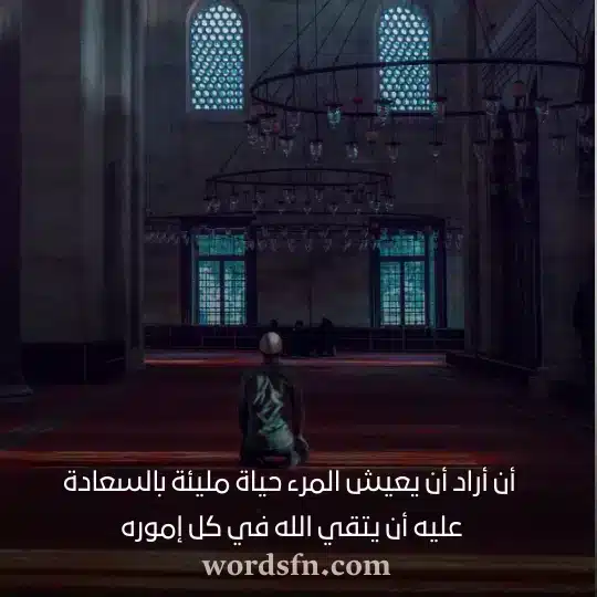 أن أراد أن يعيش المرء حياة مليئة بالسعادة عليه أن يتقي الله في كل إموره حالات واتس اب جديدة
