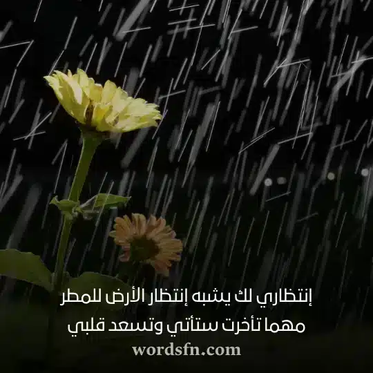 إنتظاري لك يشبه إنتظار الأرض للمطر مهما تأخرت ستأتي وتسعد قلبي حالات عن المطر