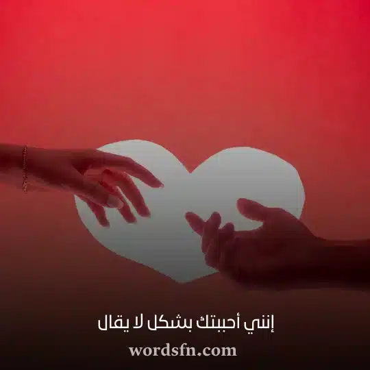 إنني أحببتك بشكل لا يقال - فن العبارات إنني أحببتك بشكل لا يقال حالات واتس رومانسي