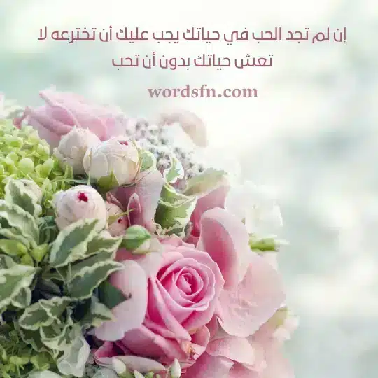 حالات واتساب حب وعشق