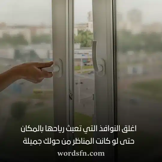 كلام حالات واتس - فن العبارات كلام حالات واتس