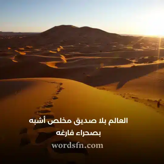 العالم بلا صديق مخلص أشبه بصحراء فارغه حالات واتس اب كتابة