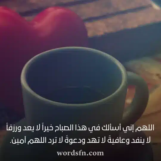 اللهم إني أسألك في هذا الصباح خيراً لا يعد ورزقاً لا ينفد وعافيةً لا تهد ودعوةً لا ترد اللهم آمين حالات صباح الخير