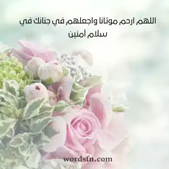 حالات عن الموت