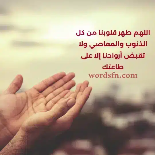 حالات واتس اب كتابة