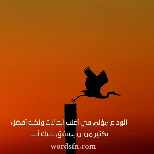 الوداع مؤلم في أغلب الحالات ولكنه أفضل بكثير من أن يشفق عليك أحد - فن العبارات الوداع مؤلم في أغلب الحالات ولكنه أفضل بكثير من أن يشفق عليك أحد حالات فراق